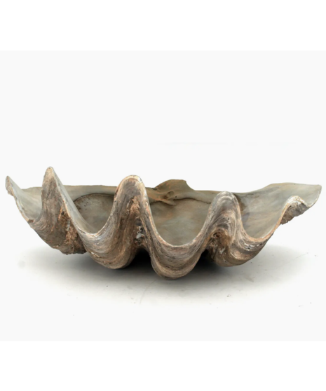 Fossilized Clam Bowl