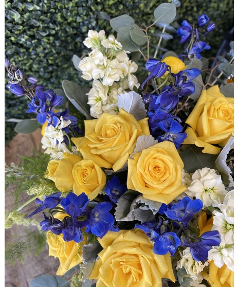 white, blue, and yellow flowers