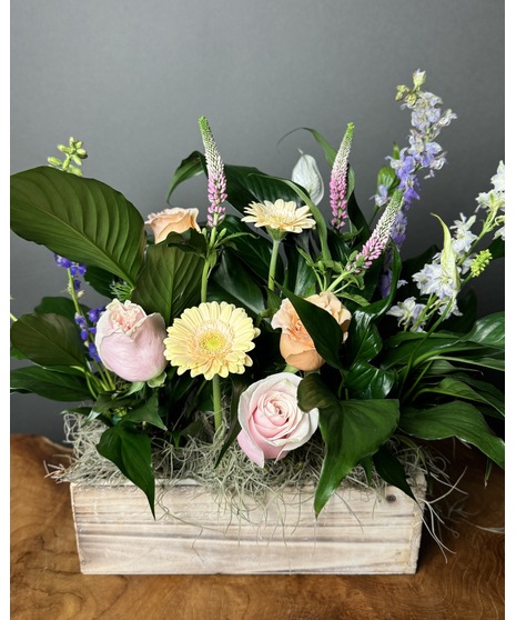 A  Peace Lily in a rustic wooden box, paired with fresh seasonal flowers, offering a combination of fleeting beauty and lasting tranquility.