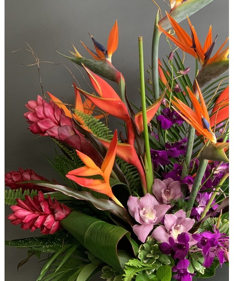 A stunning tropical floral arrangement featuring vibrant Birds of Paradise, lush orchids, and unique blooms arranged in a bespoke design.