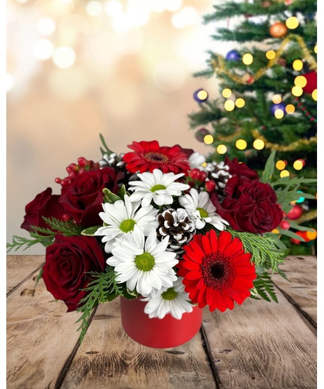 A petite holiday centerpiece with red gerbera daisies, red roses, white daisies, red berries, evergreen sprigs, and frosted pinecones in a red vase. 