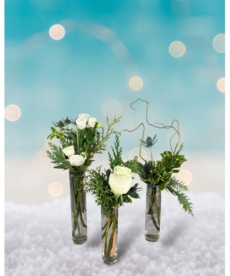 Arctic Coast Bud Vases