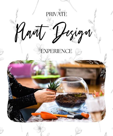 A private plant design class for two, four, six, or eight persons. Choose from a succulent garden ($65), blooming plant garden ($85), or terrarium ($135).