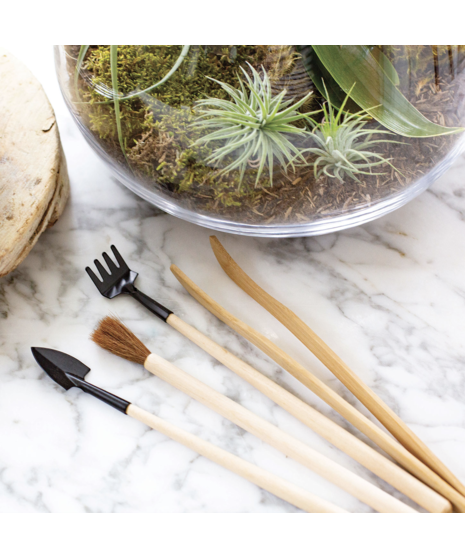 Terrarium Tool Kit - 4 piece set